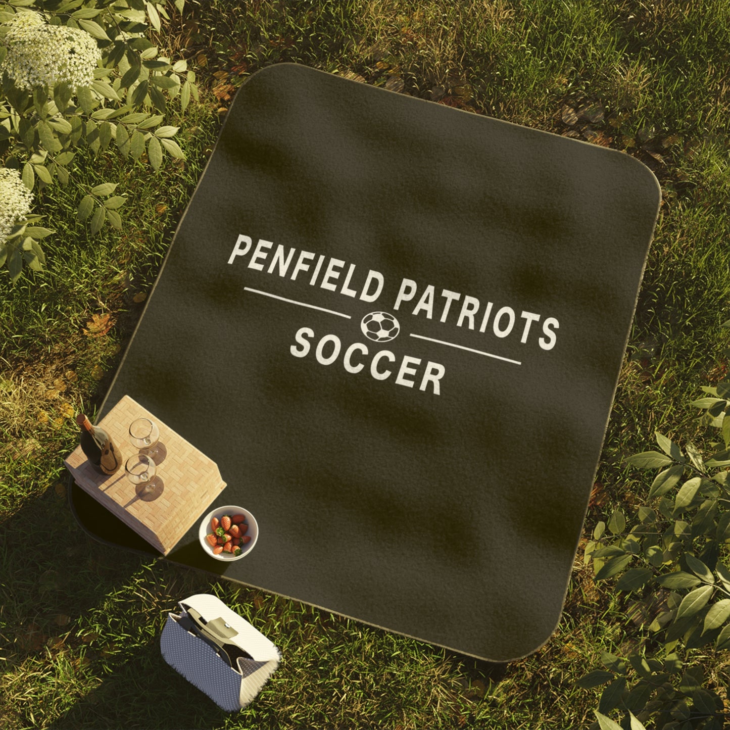 Soccer Stadium/Picnic Blanket