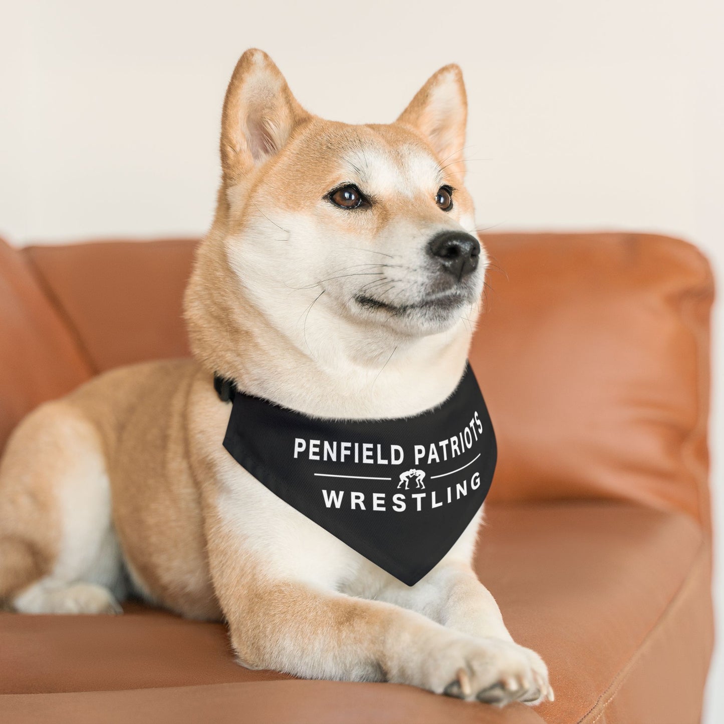 Wrestling Pet Bandana Collar