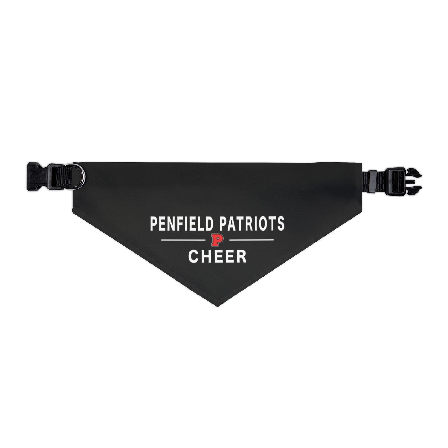 Cheer Pet Bandana Collar