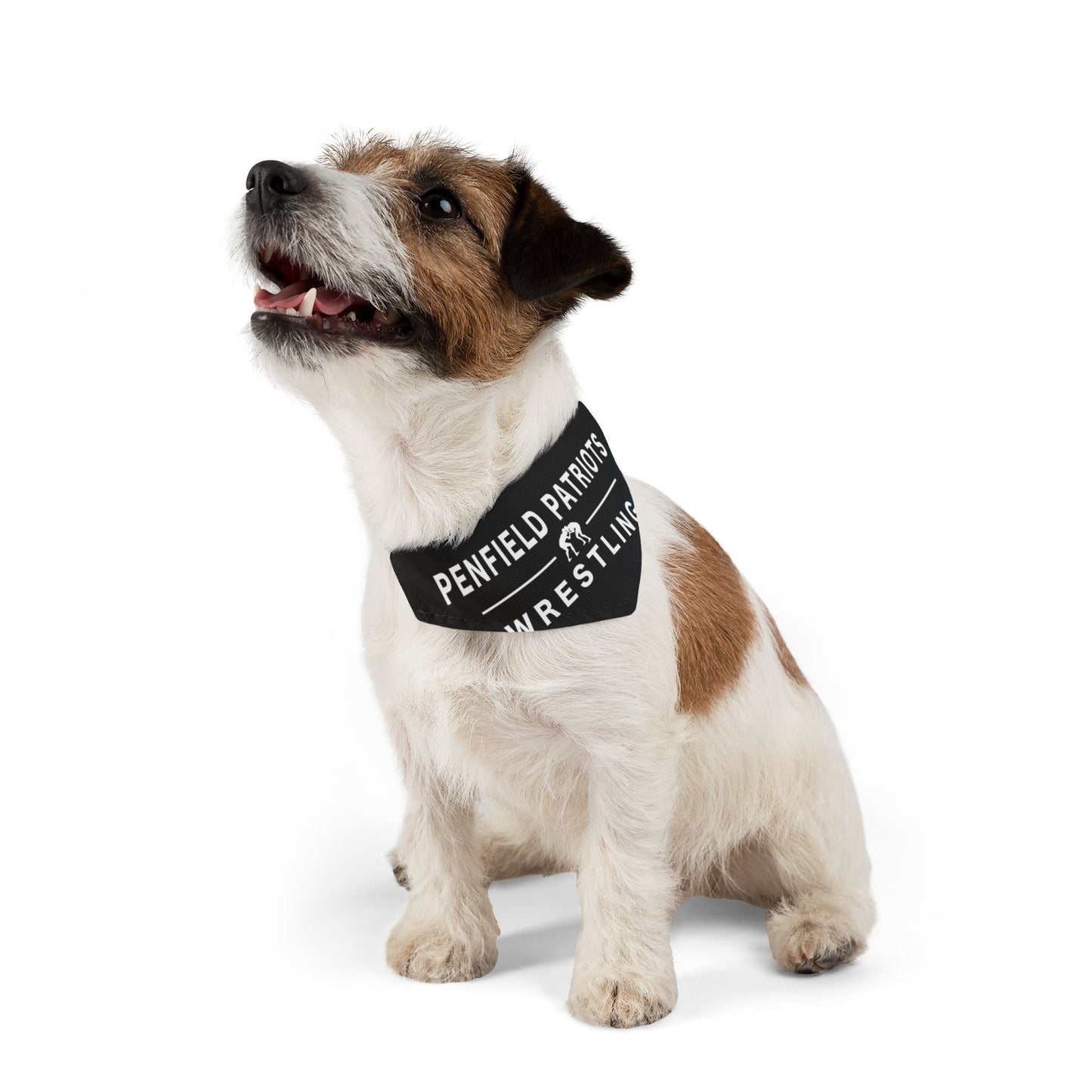 Wrestling Pet Bandana Collar