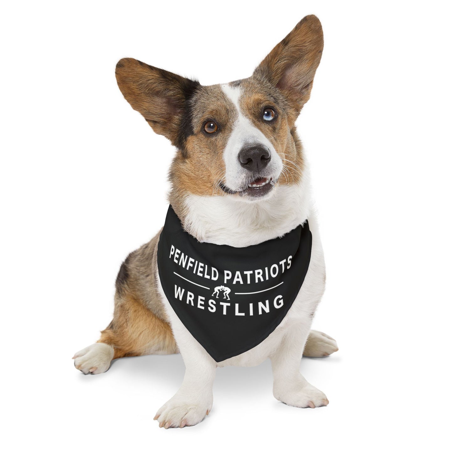 Wrestling Pet Bandana Collar