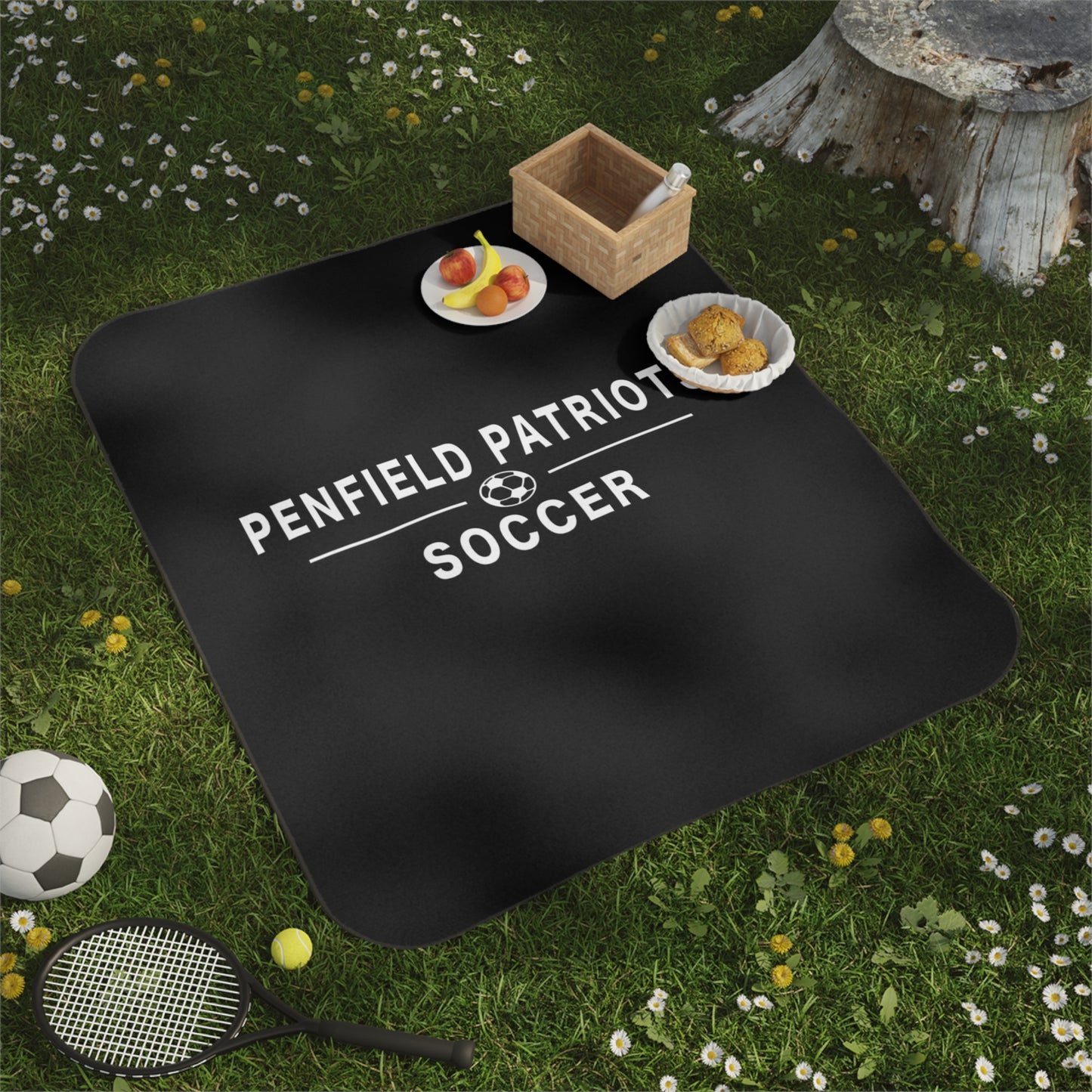 Soccer Stadium/Picnic Blanket