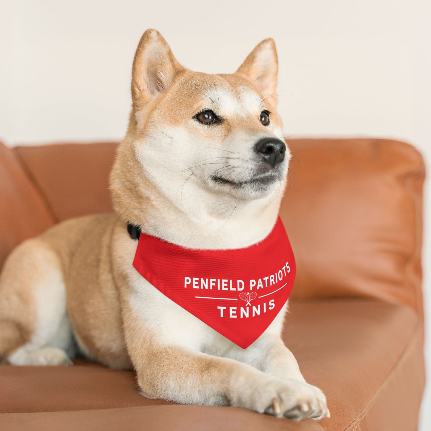 Tennis Pet Bandana Collar