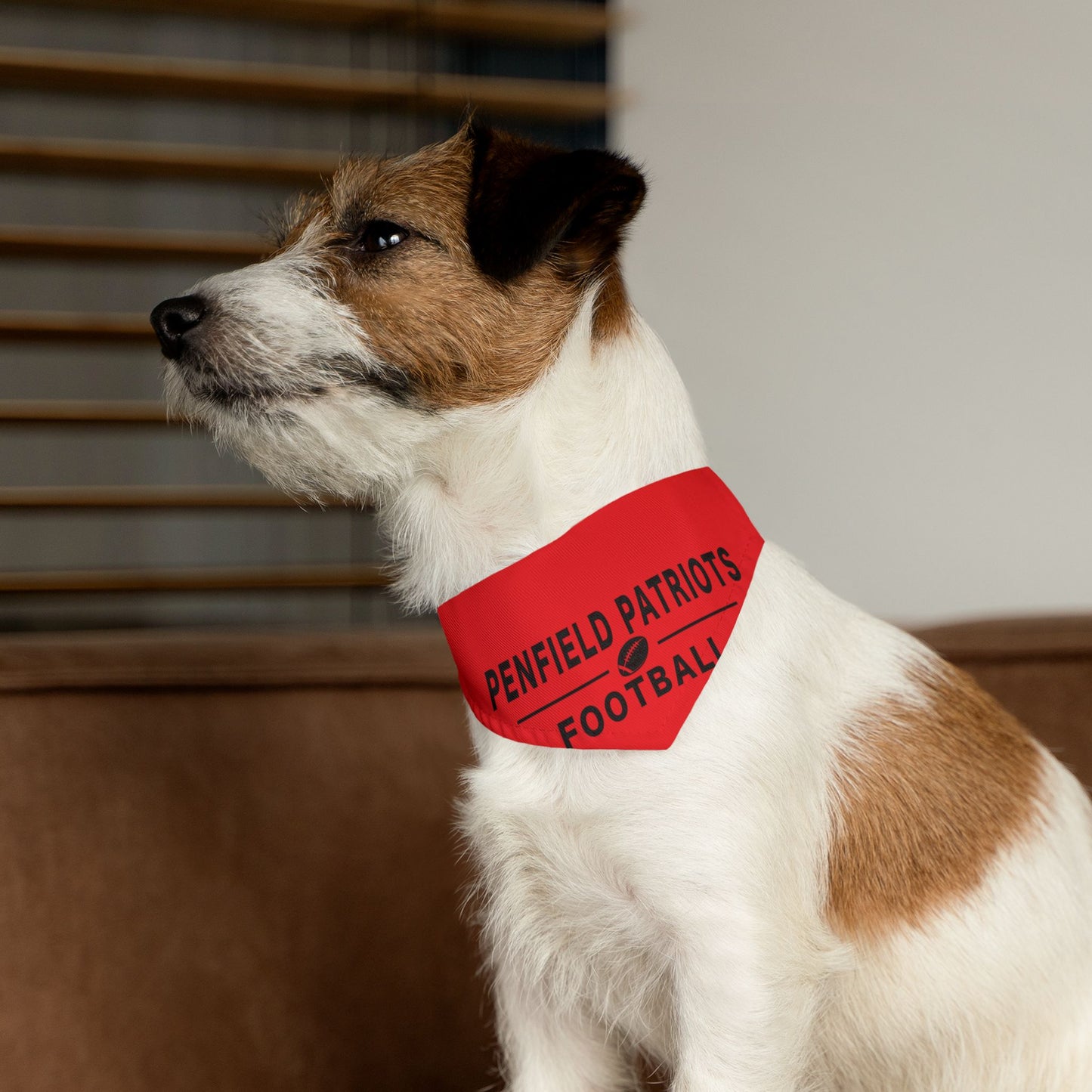 Football Pet Bandana Collar