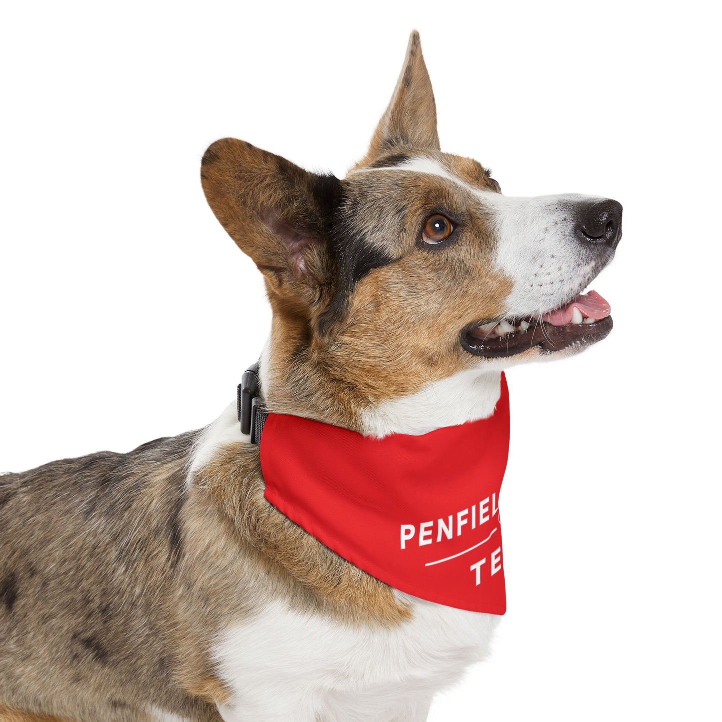 Tennis Pet Bandana Collar