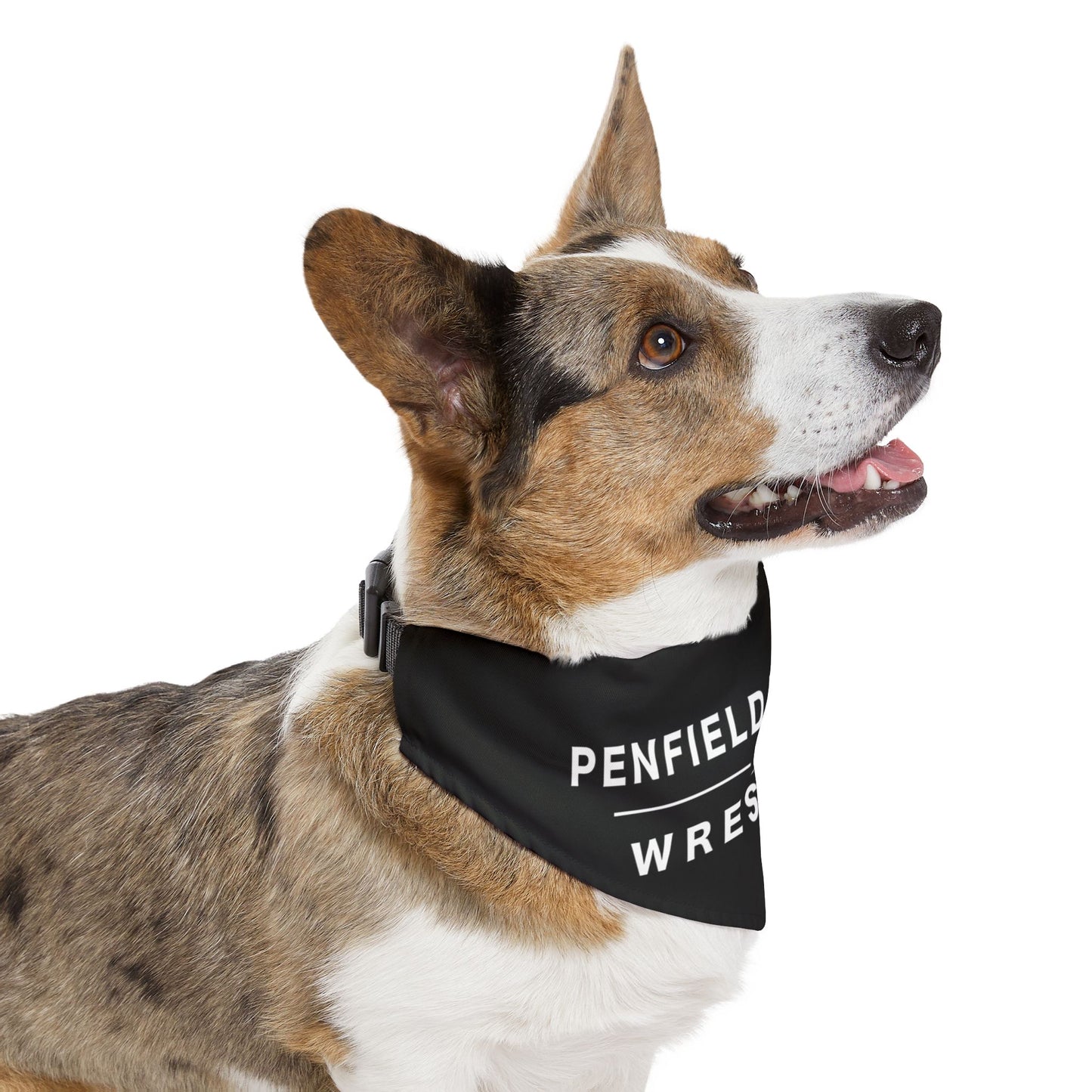 Wrestling Pet Bandana Collar