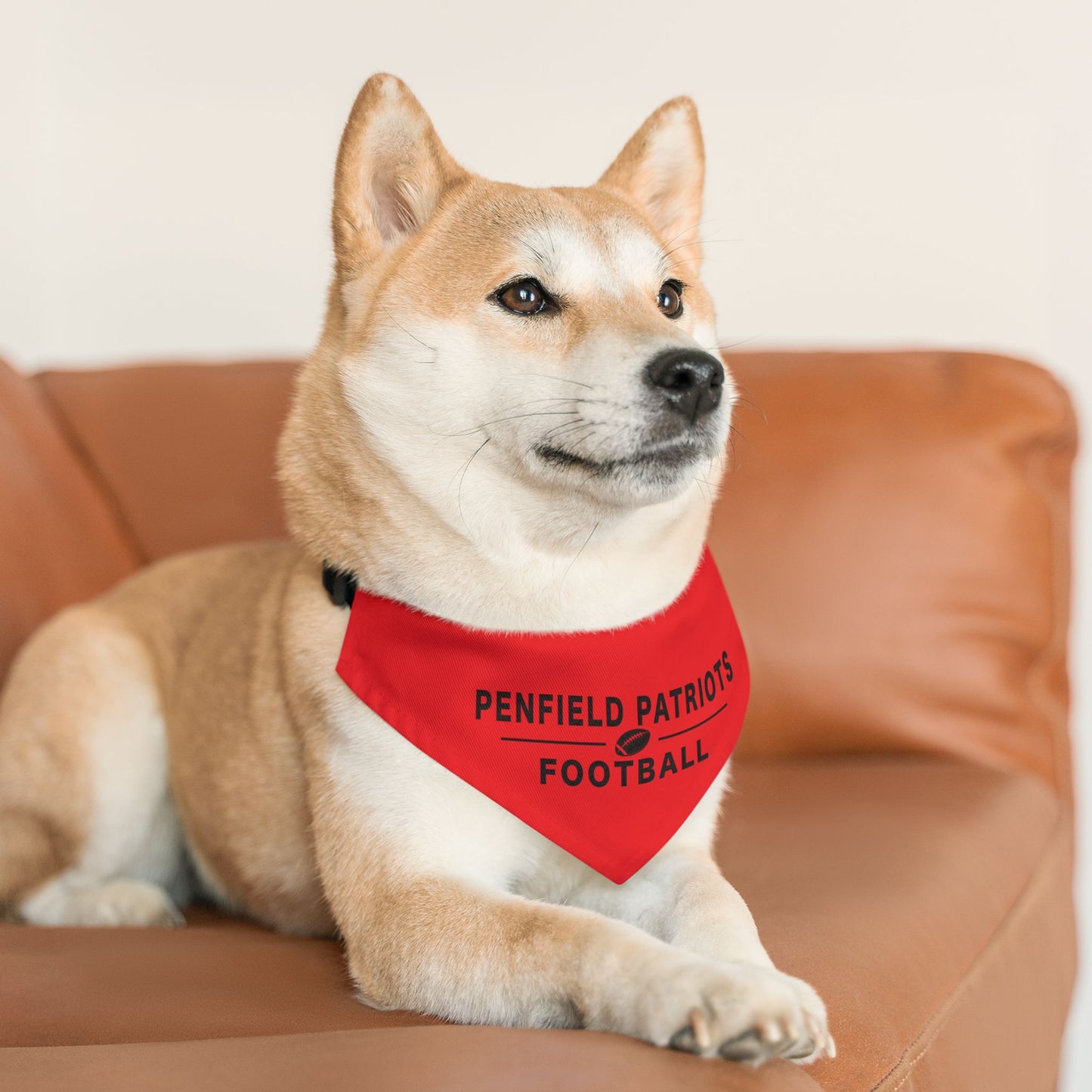 Football Pet Bandana Collar