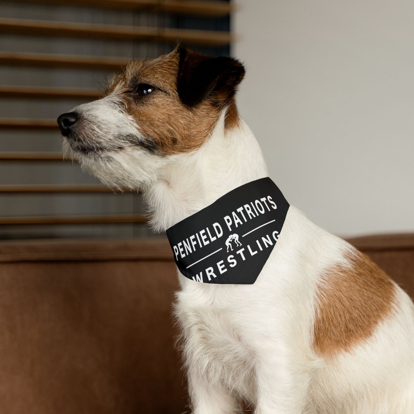 Wrestling Pet Bandana Collar