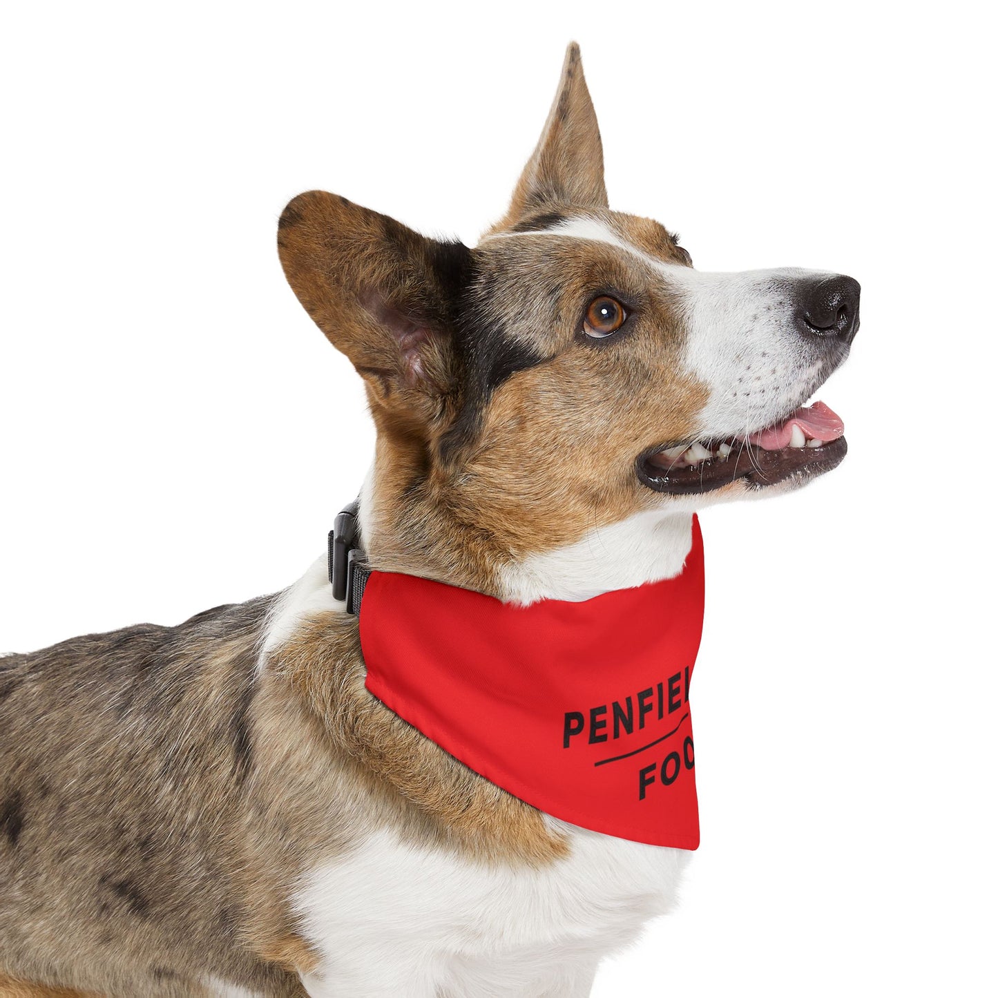 Football Pet Bandana Collar